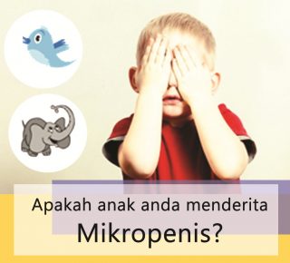Mikropenis Mikropenis (minipenis)
